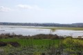 paralimni lake