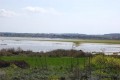 Paralimni Lake, Famagusta, Cyprus