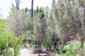 Park of Nations - Agios Georgios Nature Trail, Nicosia, Cyprus