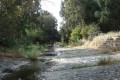 Pedieos River, Nicosia, Cyprus