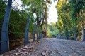 Pedieos River, Nicosia, Cyprus