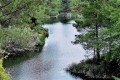 Pera Pedi Dam, Limassol, Cyprus
