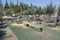 Petrides Farm Park - Marki Village, Nicosia, Cyprus