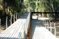 Polemidia Picnic Site, Limassol, Cyprus