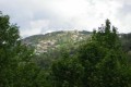 prodromos nature