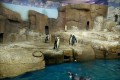Protaras Ocean Aquarium, Famagusta, Cyprus