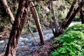 Setrachos River, Nicosia, Cyprus