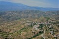 Stavrovouni Forest, Larnaca, Cyprus