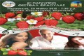 Deryneia Strawberry Festival, Famagusta, Cyprus