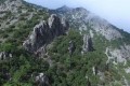 teisia tis madaris nature