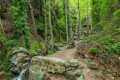 Troodos National Forest Park, Limassol, Cyprus