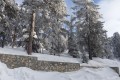 Troodos Forest, Limassol, Cyprus