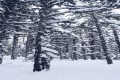 Troodos Mountain Range, Limassol, Cyprus
