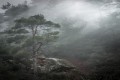 Troodos Forest, Limassol, Cyprus