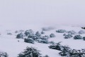 Troodos Mountain Range, Limassol, Cyprus
