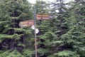 Troodos National Forest Park, Limassol, Cyprus