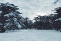 Troodos Mountain Range, Limassol, Cyprus