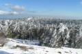 Snow in Troodos