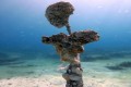 Ayia Napa Underwater Sculpture Park, Famagusta, Cyprus