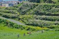 Voroklini Nature Trail, Famagusta, Cyprus