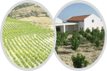 Yaskouris Winery - Pachna, Limassol, Cyprus