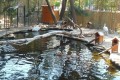 Limassol Zoo, Cyprus