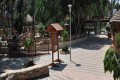 Limassol Zoo, Cyprus