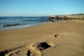 Lara Beach, Akamas, Paphos, Cyprus