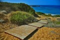 Lara Beach, Akamas, Paphos, Cyprus