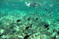 Pernera Beach - Protaras, Famagusta, Cyprus