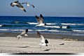 Onisilos Beach, Limassol, Cyprus