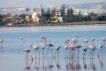 Larnaca, Cyprus