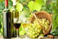 Cyprus Wine, Cyprus