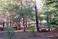 cyprus-forest-picnic