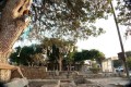Agia Solomoni Church and catacombs, Paphos, Cyprus