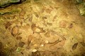 Agioi Saranta Cave - Xylofagou, Larnaca, Cyprus