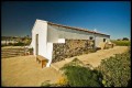 Saint George Kefala Chapel, Kalavasos Village, Larnaca, Cyprus