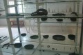 Larnaca archaeological museum, Cyprus