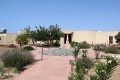 Kostas Argyrou Sculpture Museum - Mazotos, Larnaca, Cyprus