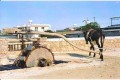 Deryneia Village, Famagusta, Cyprus