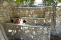 Episkopi Village , Paphos, Cyprus