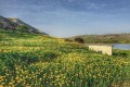 Foinikas Village, Paphos, Cyprus