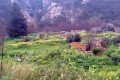 Gerovasa - Trozena Village, Limassol, Cyprus