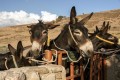Kelokedara Village, Paphos, Cyprus