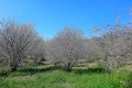Kritou Marottou Village, Paphos, Cyprus