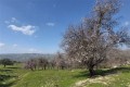 Maronas Village, Paphos, Cyprus