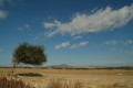 Mazotos Village, Larnaca, Cyprus