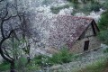 Platanistasa Village, Nicosia, Cyprus