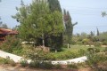 Pano Polemidia, Limassol, Cyprus