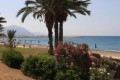 Polis Chrysochous, Paphos, Cyprus